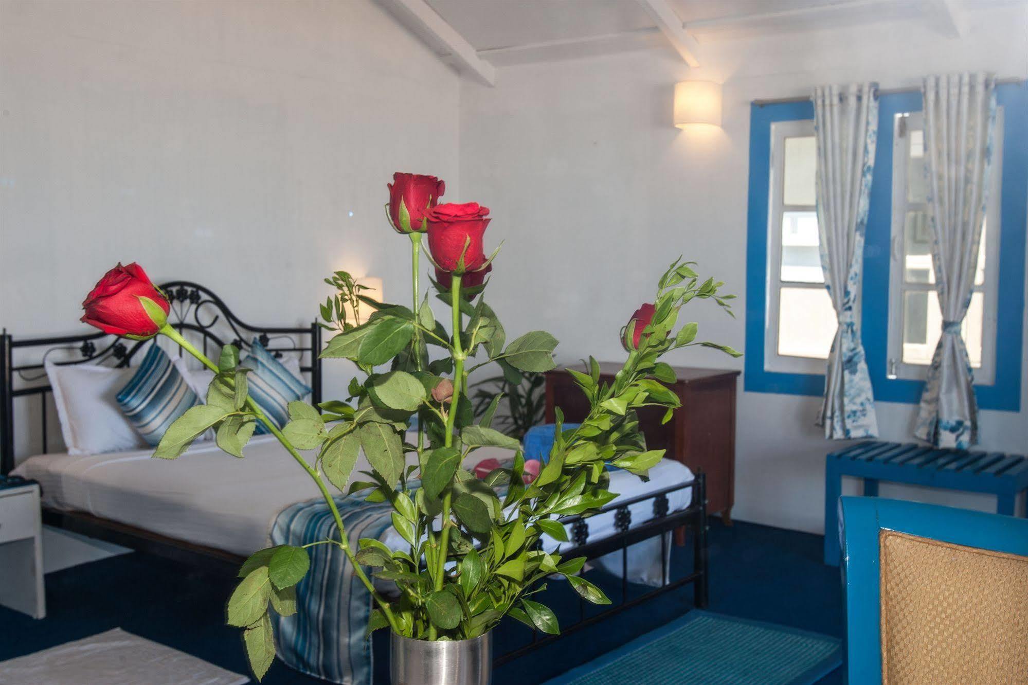 Cuba Agonda Bed & Breakfast Екстериор снимка